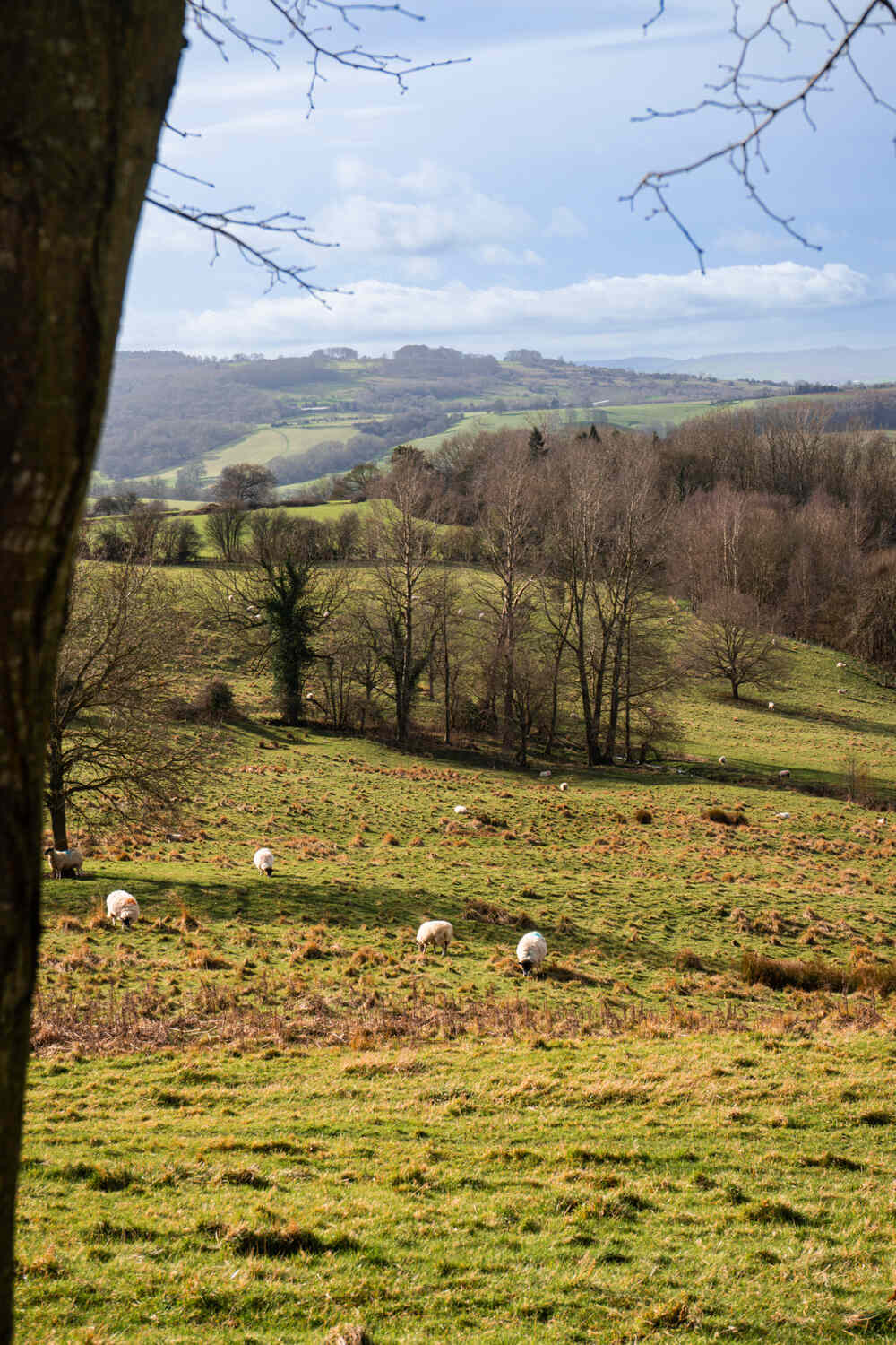 Broadway Cotswolds Landscape