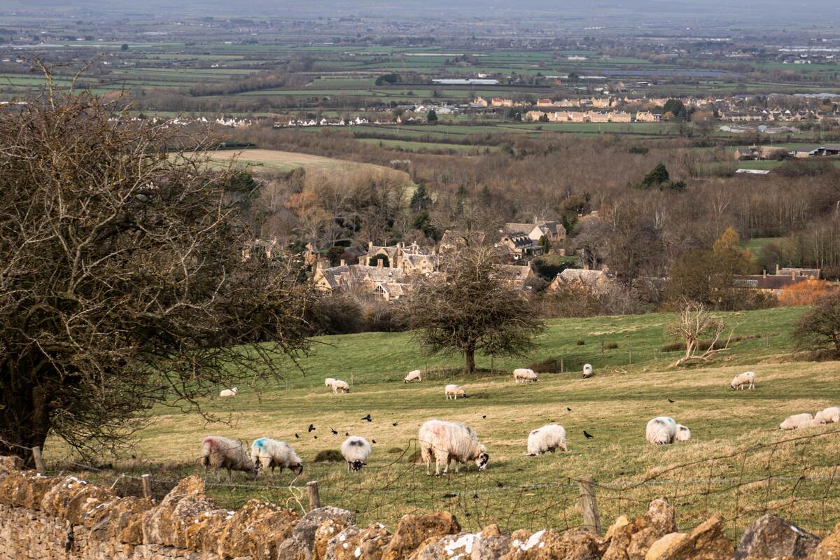 View of Broadway Village in the Cotswolds