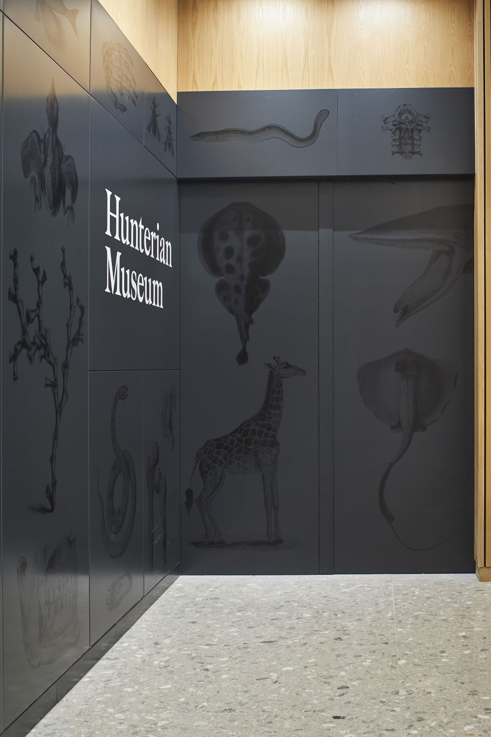 Hunterian Museum in London