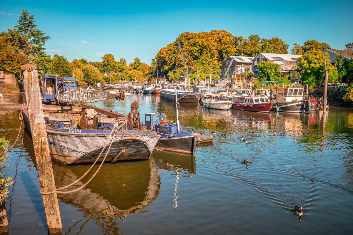 Eel Pie Island boats