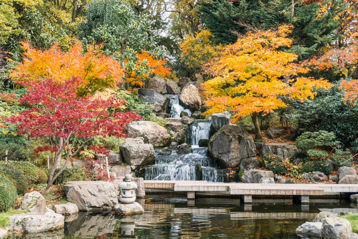 Kyoto Gardens in London