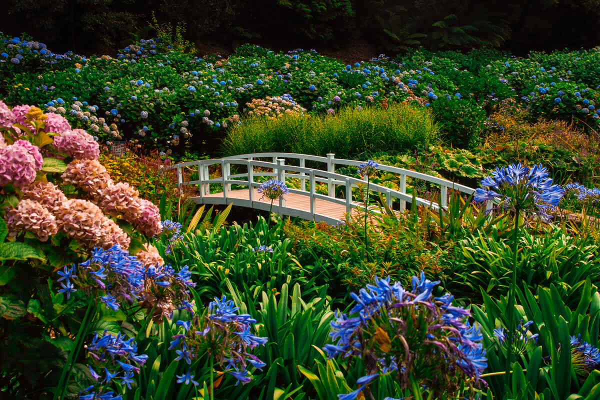 Trebah Garden Cornwall