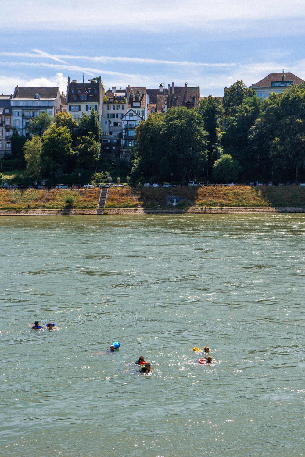 Swimming in Rhine