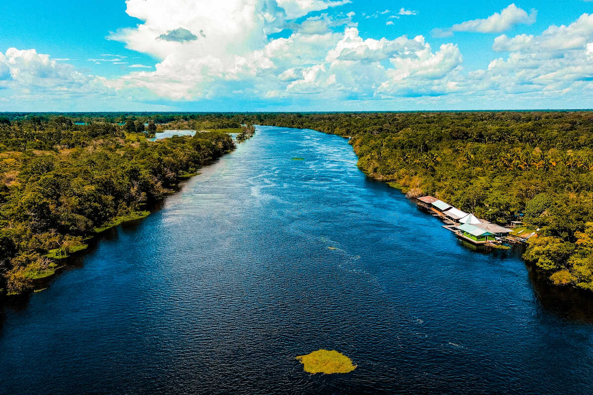 The Amazon Rainforest