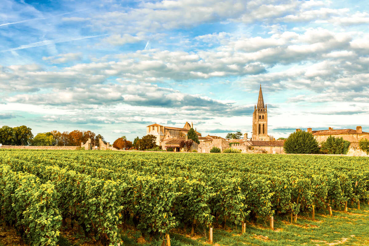 Bordeaux Vineyards France