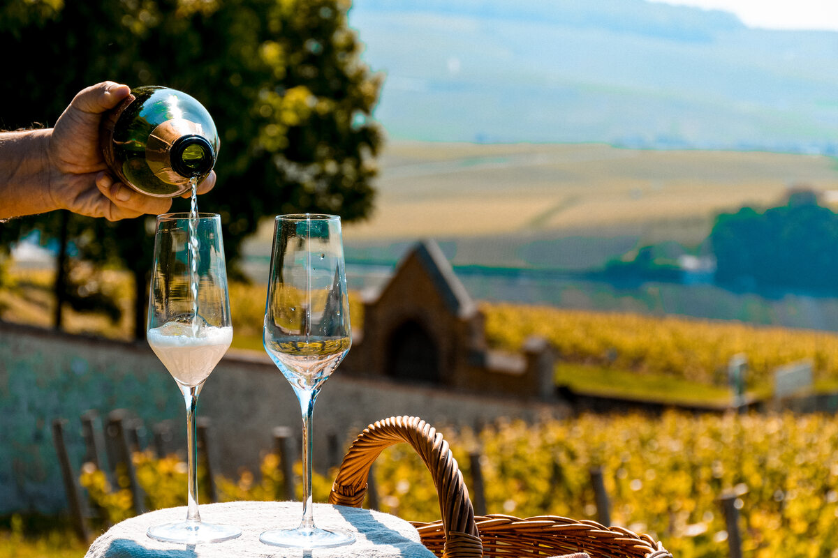 Vineyard and windmill in Champagne France