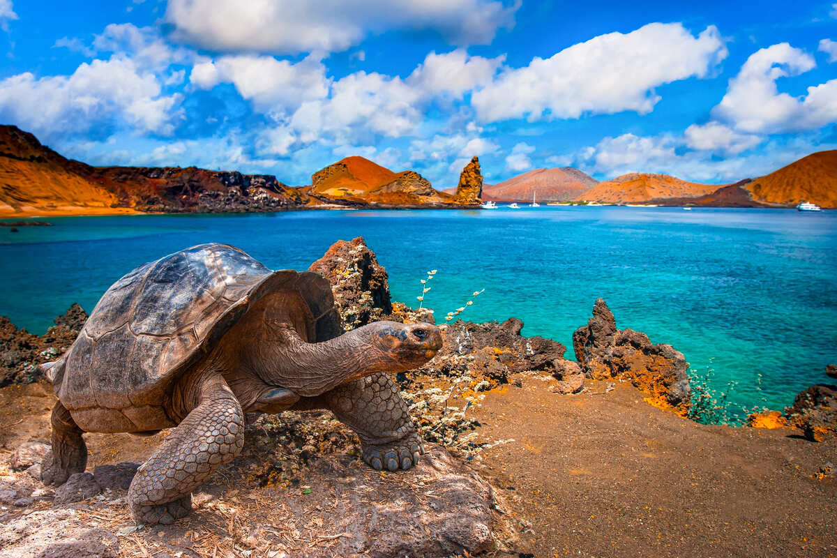 Galapagos Islands