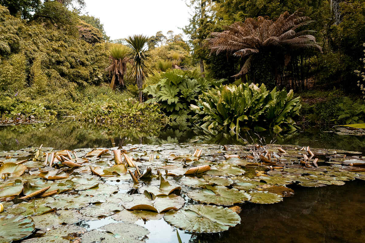 Lost Gardens of Heligan in Cornwall