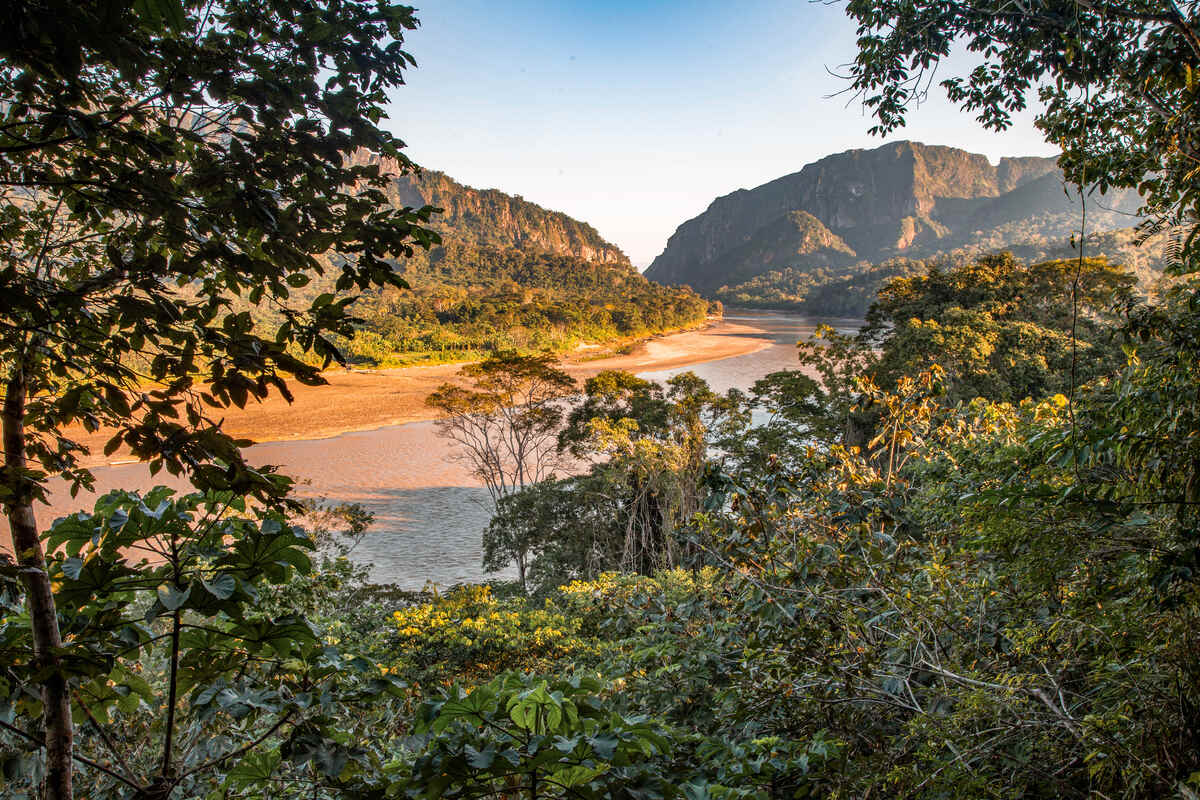 Madidi National Park, Bolivia