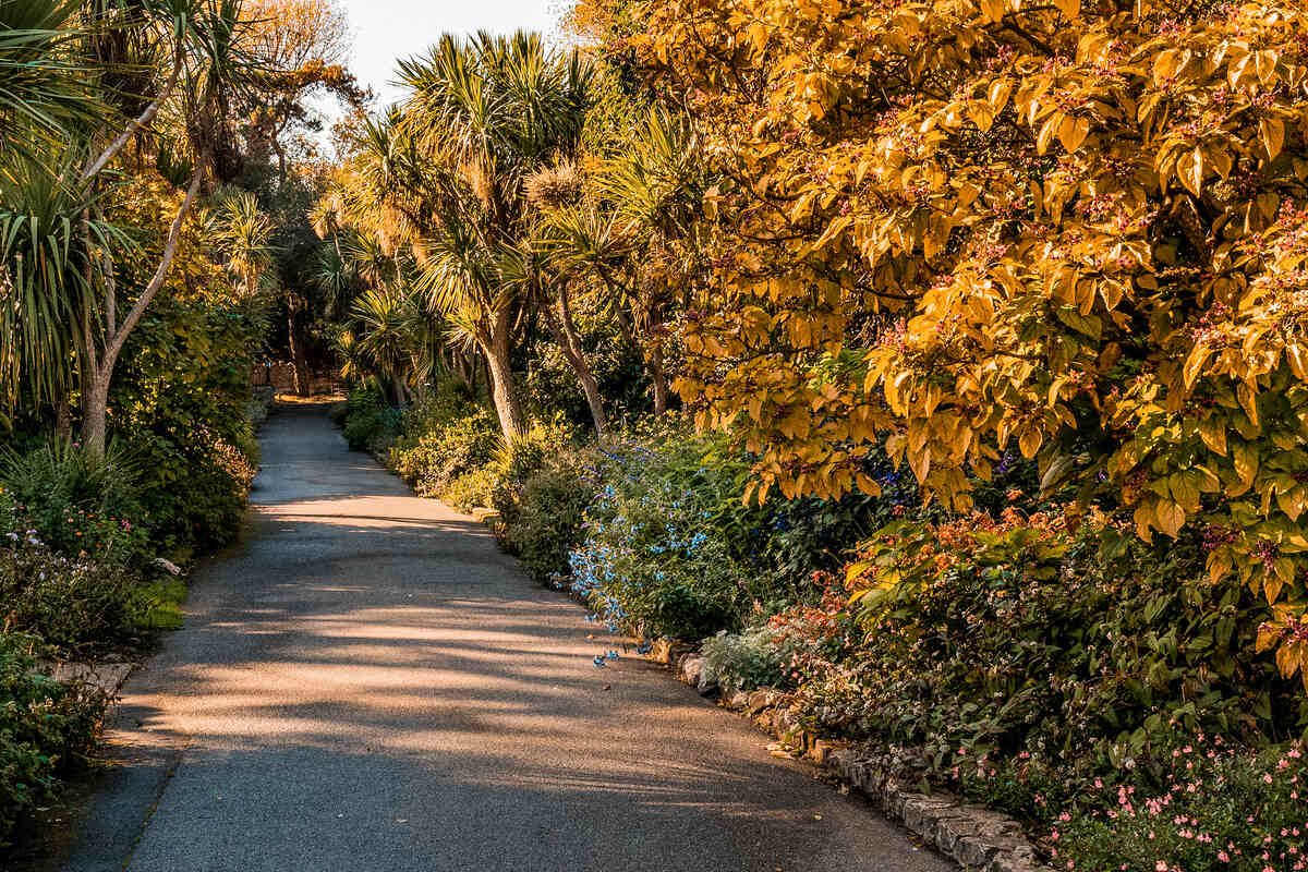 Ventnor Botanic Garden on the Isle of Wight